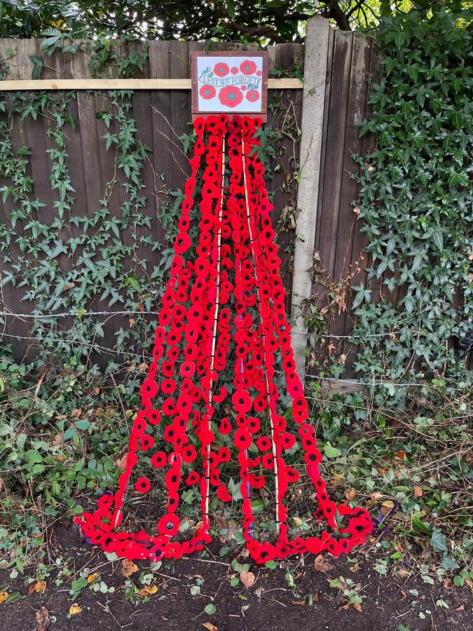 Remembrance Poppies October 2025